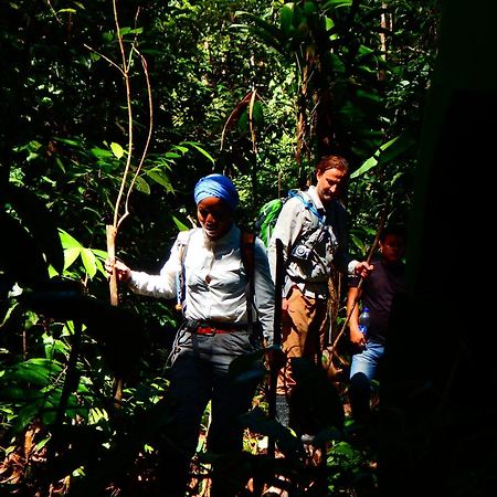Amazon Acai Lodge Leticia Buitenkant foto