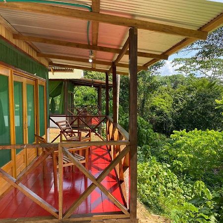 Amazon Acai Lodge Leticia Buitenkant foto