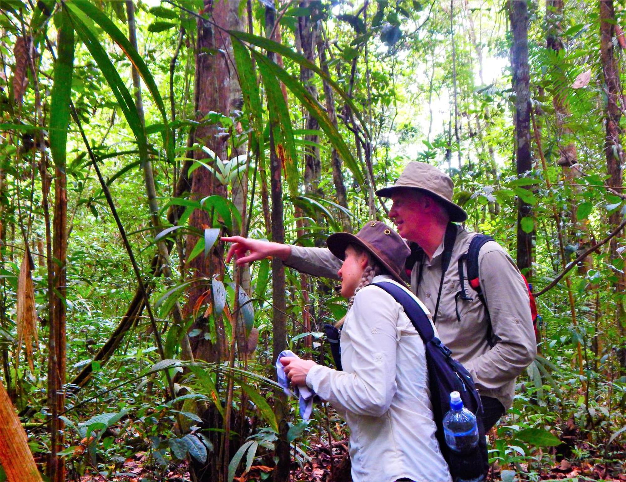 Amazon Acai Lodge Leticia Buitenkant foto