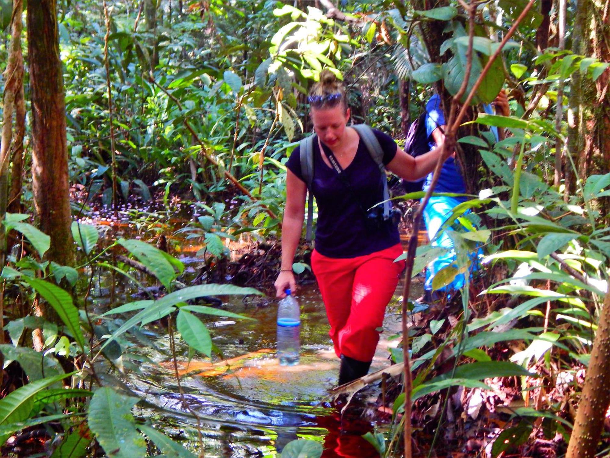 Amazon Acai Lodge Leticia Buitenkant foto