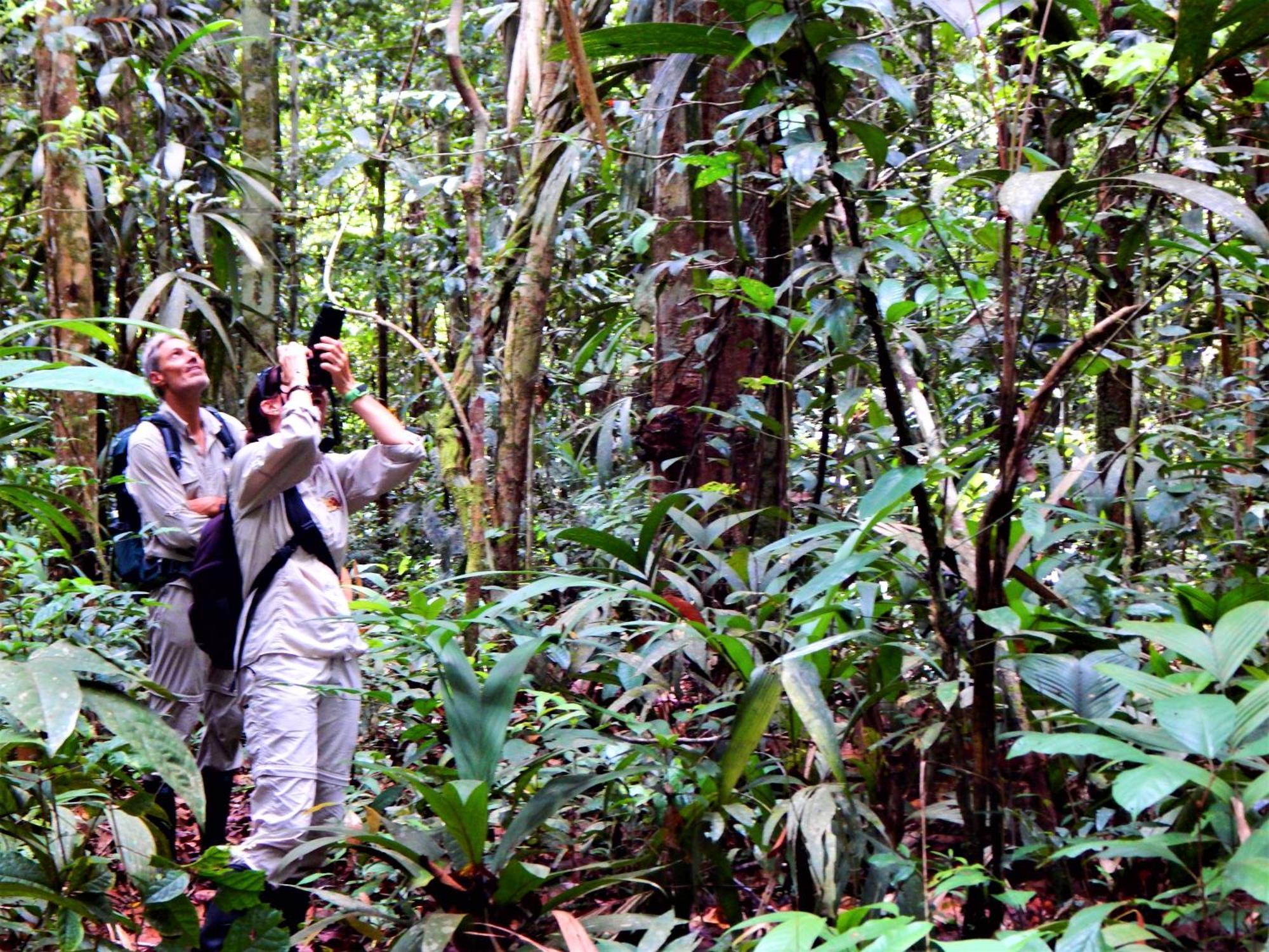 Amazon Acai Lodge Leticia Buitenkant foto