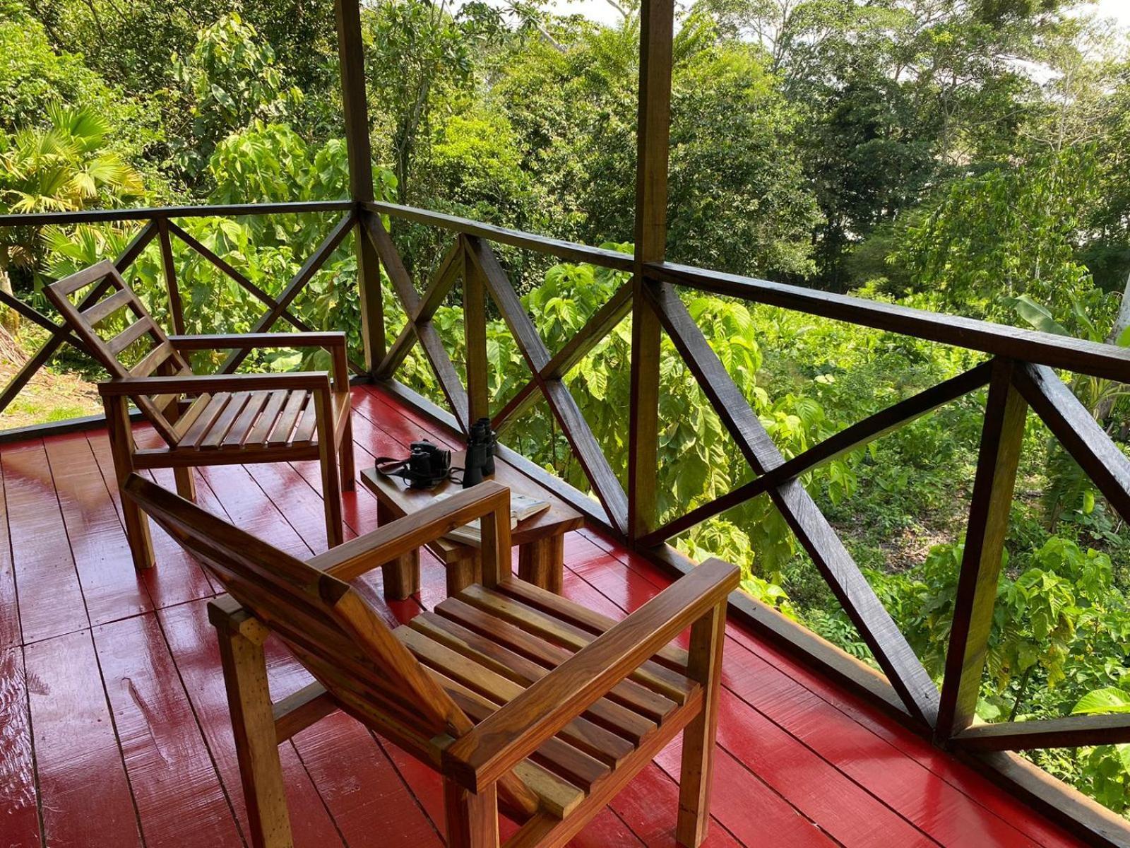 Amazon Acai Lodge Leticia Buitenkant foto