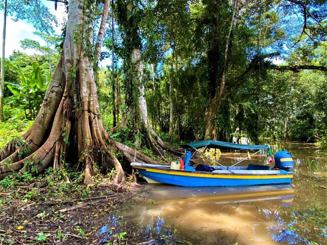 Amazon Acai Lodge Leticia Buitenkant foto