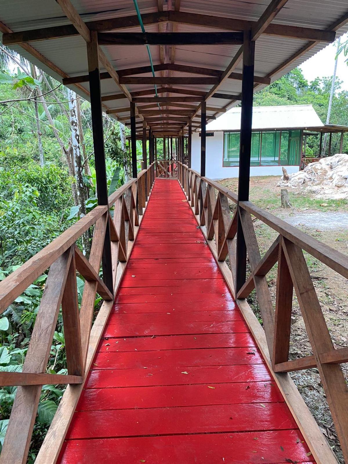 Amazon Acai Lodge Leticia Buitenkant foto
