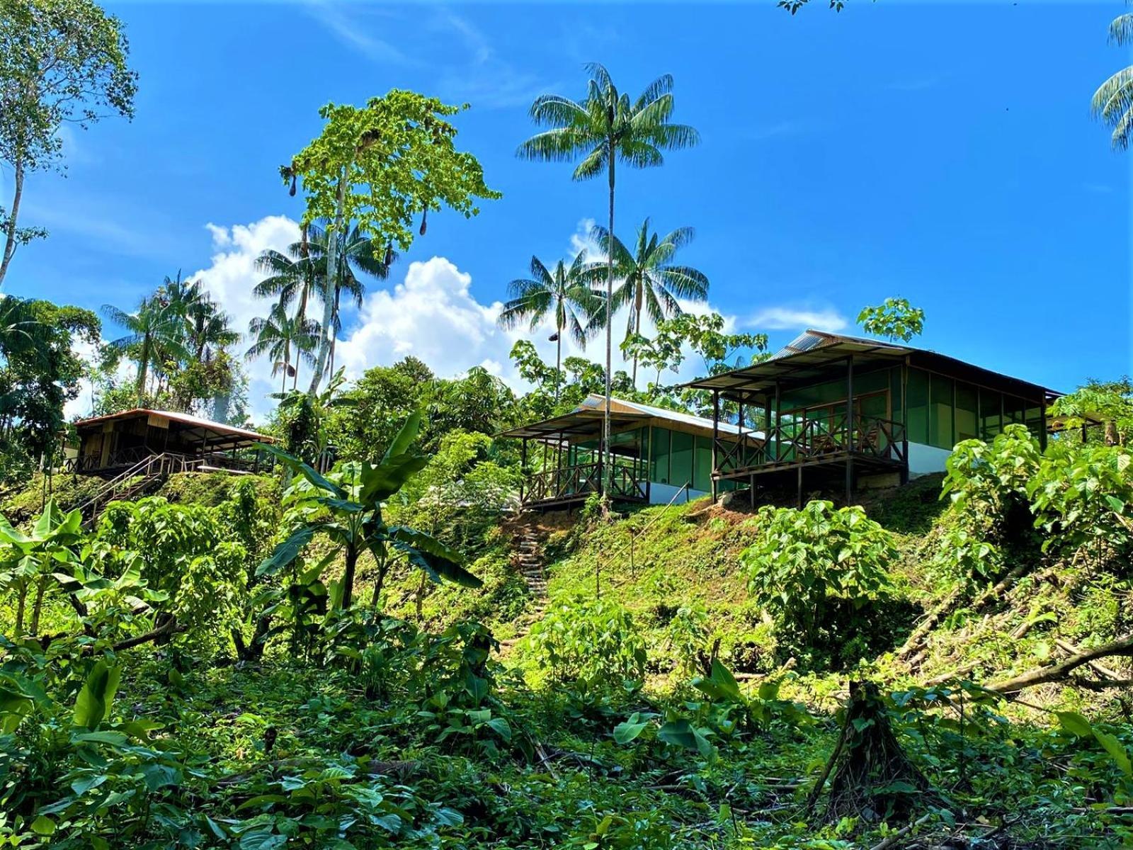 Amazon Acai Lodge Leticia Buitenkant foto